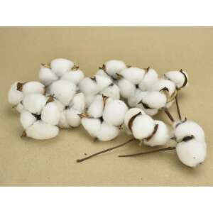 Floare de bumbac original 12pcs / pachet