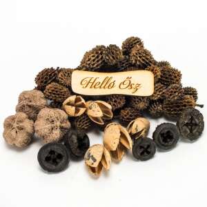 Őszi dekorációs elemek, többek között fenyőtobozok, magtokok és fekete bogyók - Művészet & Hobbi