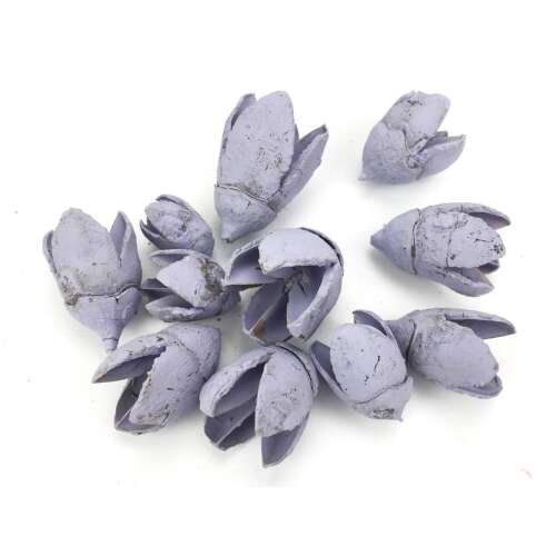 Bakuli termes cenușă violet 10 buc/mpachet