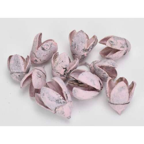 Balenie ovocia bakuli ružové 10ks/balenie