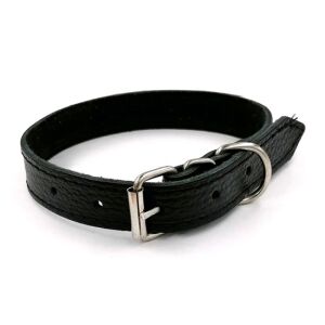 Kutyanyakörv - Bélelt - Közepes - 45cm