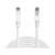 Sandberg Network Cable UTP Cat6 3 m 58122284