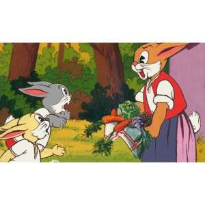 Diafilm Torkos Nyuszi, un desen animat ungar pentru copii despre o familie de iepuri, cu Nyuszi Mama, Ugri și Bugri, cei doi iepurași flămânzi - Filme diapozitive