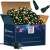 Springos Karácsonyi égősor - 400 LED Christmas lights in box with EU plug and connector