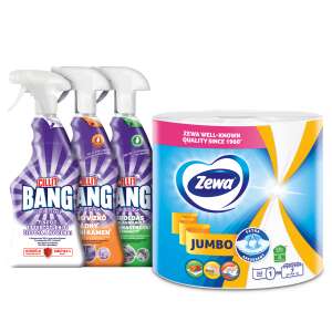 Zewa Jumbo 2-lagiges Papierhandtuch + Cillit Bang Reinigungspack