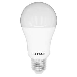Entac LED Globe E27 12W CW 6400K izzó - Entac