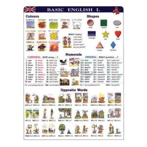 Basic English I. DUO 46902285 