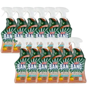 Cillit Bang Prirodno Djelotvorno Sredstvo za Uklanjanje Nečistoća i Kamenca 12x750ml
 138924588 - Cillit Bang