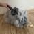 Purlov Self-Cleaning Pet Brush 47024434