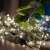 Somogyi Home Micro LED fairy lights, 50 warm white lights, on a table with green leaves