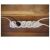Emos power strip in use, 5 sockets, white