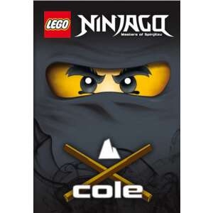 Lego 4. - Cole - Ninjago Masters of Spinjitzu 46880266 "ninjago"  Gyermek könyvek