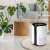 Home by Somogyi Air 18 WiFi Air Purifier, white, in a living room