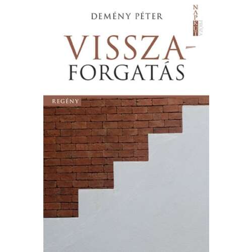 Demény Péter - Visszaforgatás - Regény