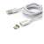 Sbox MAGNETIC-TYPE-C magnetisches USB 2.0 auf Type-C Kabel M/M 1M, silber