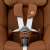 Maxi-Cosi Pearl Pro 2 i-Size car seat, brown color, showing 5-point harness system