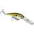 Strike King Lucky Shad Pro Model wobblerek Gold Black Back színben