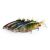 Fox Rage Replicant Trout Shallow csali kollekció