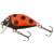 Salmo Tiny IT3F LB wobbler, katicabogár színben