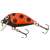 Salmo Tiny IT3F LB wobbler, katicabogár színben