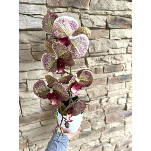 Csíkos mintázatú orchidea dekor,minden része maradandó!