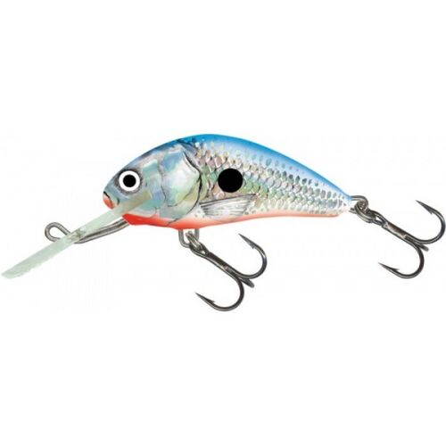 Salmo wobbler hornet h5f gt 131779508