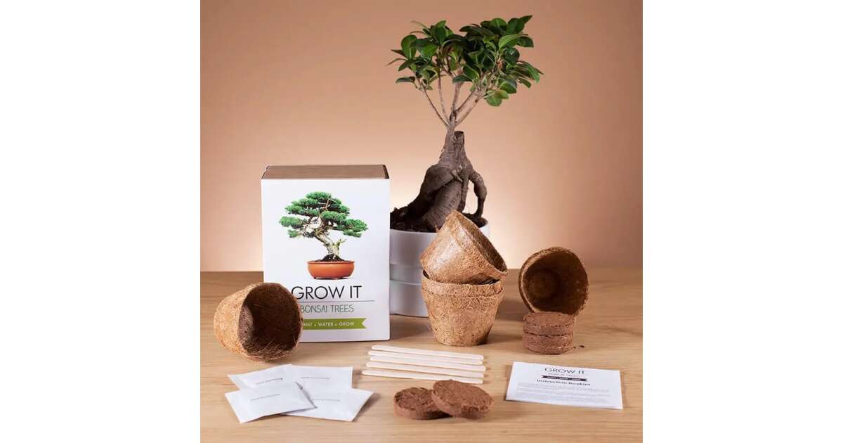 Nevelj sajt Bonszai (Bonsai) ft | Pepita.hu