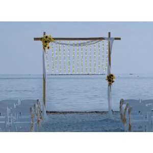 Hangulatos 3x2m-es karácsonyi fényfüzér levelekkel és hideg fehér fénnyel - 220 V (BBV) - dekorációs fények esküvőre, partira vagy karácsonyra - Nonbrand Fényfüzér