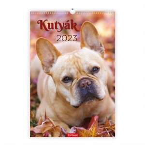 Calendar TOPTIMER de perete cu un buldog francez, 2023 - TOPTIMER