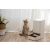 Macska várja az ételt a Xiaomi Smart Pet Food Feedertől