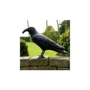 Szenzoros holló 45cm