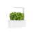 Click & Grow Smart Garden 3 mit üppigem Basilikum, Indoor-Gartenbausystem