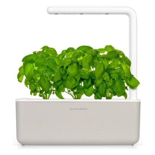 Click & Grow Smart Garden 3 с буйни растения босилек
