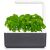 Click and Grow Smart Garden 3 mit üppigem Basilikum