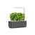 Smart Garden 3 grey with basil plants