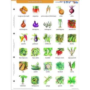 Zöldségek + munkaoldal tanulói munkalap, tanulói munkalap, zöldségek, magyar nyelv, színes illusztrációk, nyomtatható, oktatási forrás, óvoda, bölcsőde, általános iskola, otthoni oktatás, homeschooling - Irodaszer & Írószer