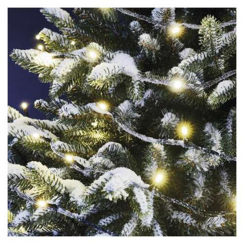 Standard LED warm white Christmas string lights on snowy Christmas tree