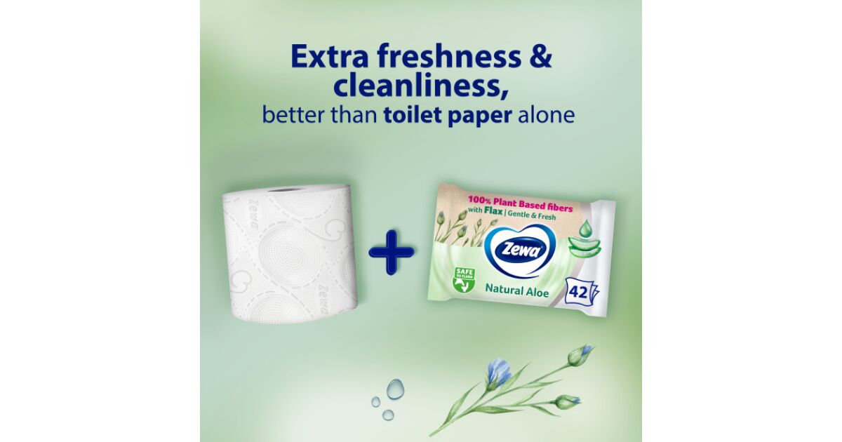 Zewa Aloe Vera feuchtes Toilettenpapier 3x42Stck | Pepita.com