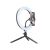 Tracer Ring Light 10W 26cm Controllable LED Ring Lamp with Mini Stand 80079607