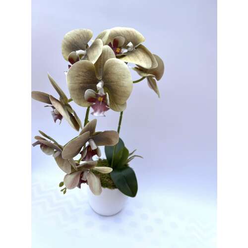 Zöldes árnyalatú orchidea dekor 1 szálas kerámia kaspóban