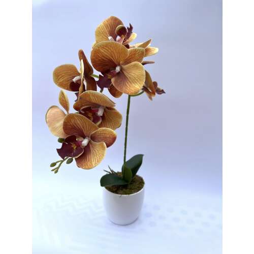 Sárgás színű orchidea dekor 1 szálas kerámia kaspóban