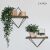 Set of 2 wall mounted shelves with plants and decorations
