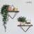 Set of 2 geometric wall shelves, black metal frame with wooden shelves, displayed with plants and decorative items