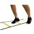 Fußarbeit Übungen mit Agility Leiter