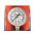 Einhell CC-AC 12V car compressor pressure gauge