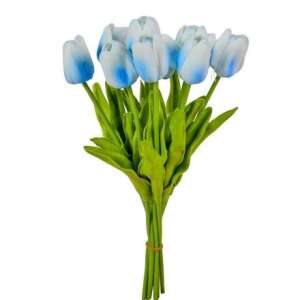 Gumi tulipán-FEHÉR/KÉK 10 szálas 48651512 