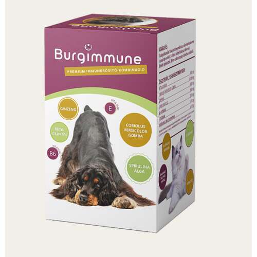 Burgimmune Prémium Immunerősítő Kombináció por - 90 napra elegendő