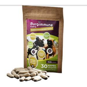 Burgimmune FORTE Prémium Immunerősítő Tabletta - 30 db 48705716 Táplálékkiegészítő, kisállat tápszer
