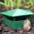 Green plastic slug trap with slug, slug trap for garden, snail trap for garden