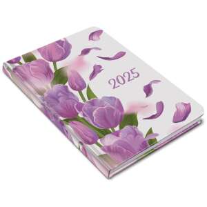 2025 Fiestina Täglicher Planer, Taschenkalender für Frauen, B/6, Realsystem - REALSYSTEM